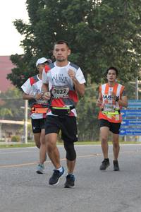 BIB: 7022, 7146
                            <button type="button" onclick="openModal(6152041)" class="btn btn-primary btn-sm float-right btn-popup" data-toggle="modal" data-target=".modal-high-quality">
                        <i class="fas fa-shopping-cart"></i> Add to Cart
                    </button>
                                            <button type="button" onclick="isThisMe(6152041, true)" class="btn btn-success btn-sm float-right btn-popup btn-isme hidden" data-toggle="tooltip" data-placement="bottom" title="นี่คือรูปของคุณใช่ไหม คลิกที่นี่เพื่อเอาเข้าอัลบั้ม">
                        <i class="fas fa-plus"></i> Add to album
                    </button>
                    <button type="button" onclick="isThisMe(6152041, false)" class="btn btn-warning btn-sm float-right btn-popup btn-isnotme hidden">
                        <i class="fas fa-ban"></i> Remove from album
                    </button>