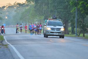 BIB: 
                            <button type="button" onclick="openModal(6172258)" class="btn btn-primary btn-sm float-right btn-popup" data-toggle="modal" data-target=".modal-high-quality">
                        <i class="fas fa-shopping-cart"></i> Add to Cart
                    </button>
                                            <button type="button" onclick="isThisMe(6172258, true)" class="btn btn-success btn-sm float-right btn-popup btn-isme hidden" data-toggle="tooltip" data-placement="bottom" title="นี่คือรูปของคุณใช่ไหม คลิกที่นี่เพื่อเอาเข้าอัลบั้ม">
                        <i class="fas fa-plus"></i> Add to album
                    </button>
                    <button type="button" onclick="isThisMe(6172258, false)" class="btn btn-warning btn-sm float-right btn-popup btn-isnotme hidden">
                        <i class="fas fa-ban"></i> Remove from album
                    </button>