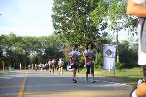 BIB: 518
                            <button type="button" onclick="openModal(6158921)" class="btn btn-primary btn-sm float-right btn-popup" data-toggle="modal" data-target=".modal-high-quality">
                        <i class="fas fa-shopping-cart"></i> Add to Cart
                    </button>
                                            <button type="button" onclick="isThisMe(6158921, true)" class="btn btn-success btn-sm float-right btn-popup btn-isme hidden" data-toggle="tooltip" data-placement="bottom" title="นี่คือรูปของคุณใช่ไหม คลิกที่นี่เพื่อเอาเข้าอัลบั้ม">
                        <i class="fas fa-plus"></i> Add to album
                    </button>
                    <button type="button" onclick="isThisMe(6158921, false)" class="btn btn-warning btn-sm float-right btn-popup btn-isnotme hidden">
                        <i class="fas fa-ban"></i> Remove from album
                    </button>