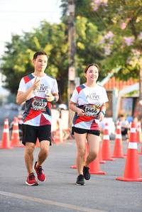 BIB: 6023, 5466
                            <button type="button" onclick="openModal(6581634)" class="btn btn-primary btn-sm float-right btn-popup" data-toggle="modal" data-target=".modal-high-quality">
                        <i class="fas fa-shopping-cart"></i> Add to Cart
                    </button>
                                            <button type="button" onclick="isThisMe(6581634, true)" class="btn btn-success btn-sm float-right btn-popup btn-isme hidden" data-toggle="tooltip" data-placement="bottom" title="นี่คือรูปของคุณใช่ไหม คลิกที่นี่เพื่อเอาเข้าอัลบั้ม">
                        <i class="fas fa-plus"></i> Add to album
                    </button>
                    <button type="button" onclick="isThisMe(6581634, false)" class="btn btn-warning btn-sm float-right btn-popup btn-isnotme hidden">
                        <i class="fas fa-ban"></i> Remove from album
                    </button>