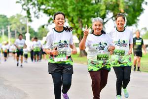 BIB: 
                            <button type="button" onclick="openModal(3721434)" class="btn btn-primary btn-sm float-right btn-popup" data-toggle="modal" data-target=".modal-high-quality">
                        <i class="fas fa-shopping-cart"></i> Add to Cart
                    </button>
                                            <button type="button" onclick="isThisMe(3721434, true)" class="btn btn-success btn-sm float-right btn-popup btn-isme hidden" data-toggle="tooltip" data-placement="bottom" title="นี่คือรูปของคุณใช่ไหม คลิกที่นี่เพื่อเอาเข้าอัลบั้ม">
                        <i class="fas fa-plus"></i> Add to album
                    </button>
                    <button type="button" onclick="isThisMe(3721434, false)" class="btn btn-warning btn-sm float-right btn-popup btn-isnotme hidden">
                        <i class="fas fa-ban"></i> Remove from album
                    </button>