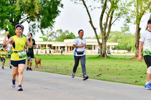 BIB: 
                            <button type="button" onclick="openModal(3718313)" class="btn btn-primary btn-sm float-right btn-popup" data-toggle="modal" data-target=".modal-high-quality">
                        <i class="fas fa-shopping-cart"></i> Add to Cart
                    </button>
                                            <button type="button" onclick="isThisMe(3718313, true)" class="btn btn-success btn-sm float-right btn-popup btn-isme hidden" data-toggle="tooltip" data-placement="bottom" title="นี่คือรูปของคุณใช่ไหม คลิกที่นี่เพื่อเอาเข้าอัลบั้ม">
                        <i class="fas fa-plus"></i> Add to album
                    </button>
                    <button type="button" onclick="isThisMe(3718313, false)" class="btn btn-warning btn-sm float-right btn-popup btn-isnotme hidden">
                        <i class="fas fa-ban"></i> Remove from album
                    </button>