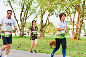 BIB: 
                            <button type="button" onclick="openModal(3718366)" class="btn btn-primary btn-sm float-right btn-popup" data-toggle="modal" data-target=".modal-high-quality">
                        <i class="fas fa-shopping-cart"></i> Add to Cart
                    </button>
                                            <button type="button" onclick="isThisMe(3718366, true)" class="btn btn-success btn-sm float-right btn-popup btn-isme hidden" data-toggle="tooltip" data-placement="bottom" title="นี่คือรูปของคุณใช่ไหม คลิกที่นี่เพื่อเอาเข้าอัลบั้ม">
                        <i class="fas fa-plus"></i> Add to album
                    </button>
                    <button type="button" onclick="isThisMe(3718366, false)" class="btn btn-warning btn-sm float-right btn-popup btn-isnotme hidden">
                        <i class="fas fa-ban"></i> Remove from album
                    </button>