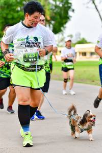 BIB: 
                            <button type="button" onclick="openModal(3720355)" class="btn btn-primary btn-sm float-right btn-popup" data-toggle="modal" data-target=".modal-high-quality">
                        <i class="fas fa-shopping-cart"></i> Add to Cart
                    </button>
                                            <button type="button" onclick="isThisMe(3720355, true)" class="btn btn-success btn-sm float-right btn-popup btn-isme hidden" data-toggle="tooltip" data-placement="bottom" title="นี่คือรูปของคุณใช่ไหม คลิกที่นี่เพื่อเอาเข้าอัลบั้ม">
                        <i class="fas fa-plus"></i> Add to album
                    </button>
                    <button type="button" onclick="isThisMe(3720355, false)" class="btn btn-warning btn-sm float-right btn-popup btn-isnotme hidden">
                        <i class="fas fa-ban"></i> Remove from album
                    </button>