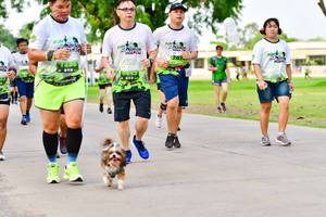 BIB: 
                            <button type="button" onclick="openModal(3720361)" class="btn btn-primary btn-sm float-right btn-popup" data-toggle="modal" data-target=".modal-high-quality">
                        <i class="fas fa-shopping-cart"></i> Add to Cart
                    </button>
                                            <button type="button" onclick="isThisMe(3720361, true)" class="btn btn-success btn-sm float-right btn-popup btn-isme hidden" data-toggle="tooltip" data-placement="bottom" title="นี่คือรูปของคุณใช่ไหม คลิกที่นี่เพื่อเอาเข้าอัลบั้ม">
                        <i class="fas fa-plus"></i> Add to album
                    </button>
                    <button type="button" onclick="isThisMe(3720361, false)" class="btn btn-warning btn-sm float-right btn-popup btn-isnotme hidden">
                        <i class="fas fa-ban"></i> Remove from album
                    </button>