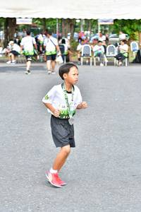 BIB: 
                            <button type="button" onclick="openModal(3722713)" class="btn btn-primary btn-sm float-right btn-popup" data-toggle="modal" data-target=".modal-high-quality">
                        <i class="fas fa-shopping-cart"></i> Add to Cart
                    </button>
                                            <button type="button" onclick="isThisMe(3722713, true)" class="btn btn-success btn-sm float-right btn-popup btn-isme hidden" data-toggle="tooltip" data-placement="bottom" title="นี่คือรูปของคุณใช่ไหม คลิกที่นี่เพื่อเอาเข้าอัลบั้ม">
                        <i class="fas fa-plus"></i> Add to album
                    </button>
                    <button type="button" onclick="isThisMe(3722713, false)" class="btn btn-warning btn-sm float-right btn-popup btn-isnotme hidden">
                        <i class="fas fa-ban"></i> Remove from album
                    </button>