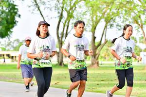 BIB: 
                            <button type="button" onclick="openModal(3721835)" class="btn btn-primary btn-sm float-right btn-popup" data-toggle="modal" data-target=".modal-high-quality">
                        <i class="fas fa-shopping-cart"></i> Add to Cart
                    </button>
                                            <button type="button" onclick="isThisMe(3721835, true)" class="btn btn-success btn-sm float-right btn-popup btn-isme hidden" data-toggle="tooltip" data-placement="bottom" title="นี่คือรูปของคุณใช่ไหม คลิกที่นี่เพื่อเอาเข้าอัลบั้ม">
                        <i class="fas fa-plus"></i> Add to album
                    </button>
                    <button type="button" onclick="isThisMe(3721835, false)" class="btn btn-warning btn-sm float-right btn-popup btn-isnotme hidden">
                        <i class="fas fa-ban"></i> Remove from album
                    </button>