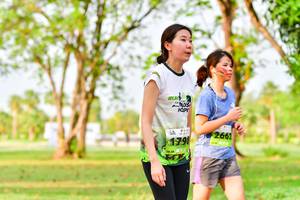 BIB: 2661, 
                            <button type="button" onclick="openModal(3721975)" class="btn btn-primary btn-sm float-right btn-popup" data-toggle="modal" data-target=".modal-high-quality">
                        <i class="fas fa-shopping-cart"></i> Add to Cart
                    </button>
                                            <button type="button" onclick="isThisMe(3721975, true)" class="btn btn-success btn-sm float-right btn-popup btn-isme hidden" data-toggle="tooltip" data-placement="bottom" title="นี่คือรูปของคุณใช่ไหม คลิกที่นี่เพื่อเอาเข้าอัลบั้ม">
                        <i class="fas fa-plus"></i> Add to album
                    </button>
                    <button type="button" onclick="isThisMe(3721975, false)" class="btn btn-warning btn-sm float-right btn-popup btn-isnotme hidden">
                        <i class="fas fa-ban"></i> Remove from album
                    </button>