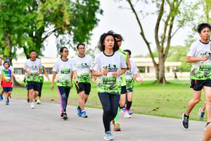 BIB: 
                            <button type="button" onclick="openModal(3719627)" class="btn btn-primary btn-sm float-right btn-popup" data-toggle="modal" data-target=".modal-high-quality">
                        <i class="fas fa-shopping-cart"></i> Add to Cart
                    </button>
                                            <button type="button" onclick="isThisMe(3719627, true)" class="btn btn-success btn-sm float-right btn-popup btn-isme hidden" data-toggle="tooltip" data-placement="bottom" title="นี่คือรูปของคุณใช่ไหม คลิกที่นี่เพื่อเอาเข้าอัลบั้ม">
                        <i class="fas fa-plus"></i> Add to album
                    </button>
                    <button type="button" onclick="isThisMe(3719627, false)" class="btn btn-warning btn-sm float-right btn-popup btn-isnotme hidden">
                        <i class="fas fa-ban"></i> Remove from album
                    </button>