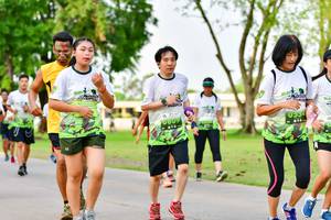 BIB: 
                            <button type="button" onclick="openModal(3718847)" class="btn btn-primary btn-sm float-right btn-popup" data-toggle="modal" data-target=".modal-high-quality">
                        <i class="fas fa-shopping-cart"></i> Add to Cart
                    </button>
                                            <button type="button" onclick="isThisMe(3718847, true)" class="btn btn-success btn-sm float-right btn-popup btn-isme hidden" data-toggle="tooltip" data-placement="bottom" title="นี่คือรูปของคุณใช่ไหม คลิกที่นี่เพื่อเอาเข้าอัลบั้ม">
                        <i class="fas fa-plus"></i> Add to album
                    </button>
                    <button type="button" onclick="isThisMe(3718847, false)" class="btn btn-warning btn-sm float-right btn-popup btn-isnotme hidden">
                        <i class="fas fa-ban"></i> Remove from album
                    </button>