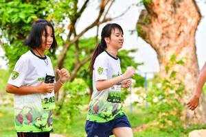 BIB: 
                            <button type="button" onclick="openModal(3720287)" class="btn btn-primary btn-sm float-right btn-popup" data-toggle="modal" data-target=".modal-high-quality">
                        <i class="fas fa-shopping-cart"></i> Add to Cart
                    </button>
                                            <button type="button" onclick="isThisMe(3720287, true)" class="btn btn-success btn-sm float-right btn-popup btn-isme hidden" data-toggle="tooltip" data-placement="bottom" title="นี่คือรูปของคุณใช่ไหม คลิกที่นี่เพื่อเอาเข้าอัลบั้ม">
                        <i class="fas fa-plus"></i> Add to album
                    </button>
                    <button type="button" onclick="isThisMe(3720287, false)" class="btn btn-warning btn-sm float-right btn-popup btn-isnotme hidden">
                        <i class="fas fa-ban"></i> Remove from album
                    </button>