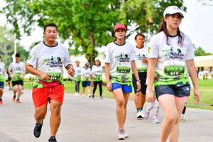 BIB: 
                            <button type="button" onclick="openModal(3720757)" class="btn btn-primary btn-sm float-right btn-popup" data-toggle="modal" data-target=".modal-high-quality">
                        <i class="fas fa-shopping-cart"></i> Add to Cart
                    </button>
                                            <button type="button" onclick="isThisMe(3720757, true)" class="btn btn-success btn-sm float-right btn-popup btn-isme hidden" data-toggle="tooltip" data-placement="bottom" title="นี่คือรูปของคุณใช่ไหม คลิกที่นี่เพื่อเอาเข้าอัลบั้ม">
                        <i class="fas fa-plus"></i> Add to album
                    </button>
                    <button type="button" onclick="isThisMe(3720757, false)" class="btn btn-warning btn-sm float-right btn-popup btn-isnotme hidden">
                        <i class="fas fa-ban"></i> Remove from album
                    </button>