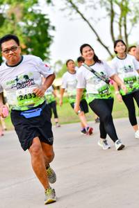 BIB: 
                            <button type="button" onclick="openModal(3720264)" class="btn btn-primary btn-sm float-right btn-popup" data-toggle="modal" data-target=".modal-high-quality">
                        <i class="fas fa-shopping-cart"></i> Add to Cart
                    </button>
                                            <button type="button" onclick="isThisMe(3720264, true)" class="btn btn-success btn-sm float-right btn-popup btn-isme hidden" data-toggle="tooltip" data-placement="bottom" title="นี่คือรูปของคุณใช่ไหม คลิกที่นี่เพื่อเอาเข้าอัลบั้ม">
                        <i class="fas fa-plus"></i> Add to album
                    </button>
                    <button type="button" onclick="isThisMe(3720264, false)" class="btn btn-warning btn-sm float-right btn-popup btn-isnotme hidden">
                        <i class="fas fa-ban"></i> Remove from album
                    </button>