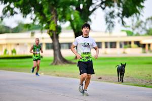 BIB: 1825
                            <button type="button" onclick="openModal(3717446)" class="btn btn-primary btn-sm float-right btn-popup" data-toggle="modal" data-target=".modal-high-quality">
                        <i class="fas fa-shopping-cart"></i> Add to Cart
                    </button>
                                            <button type="button" onclick="isThisMe(3717446, true)" class="btn btn-success btn-sm float-right btn-popup btn-isme hidden" data-toggle="tooltip" data-placement="bottom" title="นี่คือรูปของคุณใช่ไหม คลิกที่นี่เพื่อเอาเข้าอัลบั้ม">
                        <i class="fas fa-plus"></i> Add to album
                    </button>
                    <button type="button" onclick="isThisMe(3717446, false)" class="btn btn-warning btn-sm float-right btn-popup btn-isnotme hidden">
                        <i class="fas fa-ban"></i> Remove from album
                    </button>