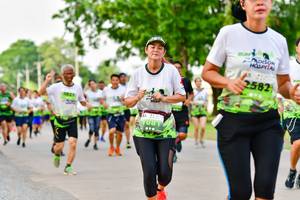 BIB: 2582
                            <button type="button" onclick="openModal(3718856)" class="btn btn-primary btn-sm float-right btn-popup" data-toggle="modal" data-target=".modal-high-quality">
                        <i class="fas fa-shopping-cart"></i> Add to Cart
                    </button>
                                            <button type="button" onclick="isThisMe(3718856, true)" class="btn btn-success btn-sm float-right btn-popup btn-isme hidden" data-toggle="tooltip" data-placement="bottom" title="นี่คือรูปของคุณใช่ไหม คลิกที่นี่เพื่อเอาเข้าอัลบั้ม">
                        <i class="fas fa-plus"></i> Add to album
                    </button>
                    <button type="button" onclick="isThisMe(3718856, false)" class="btn btn-warning btn-sm float-right btn-popup btn-isnotme hidden">
                        <i class="fas fa-ban"></i> Remove from album
                    </button>