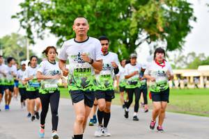 BIB: 
                            <button type="button" onclick="openModal(3718666)" class="btn btn-primary btn-sm float-right btn-popup" data-toggle="modal" data-target=".modal-high-quality">
                        <i class="fas fa-shopping-cart"></i> Add to Cart
                    </button>
                                            <button type="button" onclick="isThisMe(3718666, true)" class="btn btn-success btn-sm float-right btn-popup btn-isme hidden" data-toggle="tooltip" data-placement="bottom" title="นี่คือรูปของคุณใช่ไหม คลิกที่นี่เพื่อเอาเข้าอัลบั้ม">
                        <i class="fas fa-plus"></i> Add to album
                    </button>
                    <button type="button" onclick="isThisMe(3718666, false)" class="btn btn-warning btn-sm float-right btn-popup btn-isnotme hidden">
                        <i class="fas fa-ban"></i> Remove from album
                    </button>