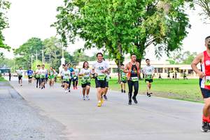 BIB: 
                            <button type="button" onclick="openModal(3718183)" class="btn btn-primary btn-sm float-right btn-popup" data-toggle="modal" data-target=".modal-high-quality">
                        <i class="fas fa-shopping-cart"></i> Add to Cart
                    </button>
                                            <button type="button" onclick="isThisMe(3718183, true)" class="btn btn-success btn-sm float-right btn-popup btn-isme hidden" data-toggle="tooltip" data-placement="bottom" title="นี่คือรูปของคุณใช่ไหม คลิกที่นี่เพื่อเอาเข้าอัลบั้ม">
                        <i class="fas fa-plus"></i> Add to album
                    </button>
                    <button type="button" onclick="isThisMe(3718183, false)" class="btn btn-warning btn-sm float-right btn-popup btn-isnotme hidden">
                        <i class="fas fa-ban"></i> Remove from album
                    </button>