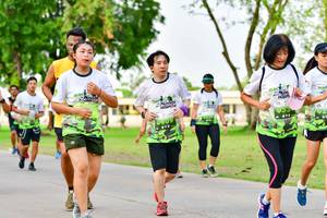 BIB: 
                            <button type="button" onclick="openModal(3718843)" class="btn btn-primary btn-sm float-right btn-popup" data-toggle="modal" data-target=".modal-high-quality">
                        <i class="fas fa-shopping-cart"></i> Add to Cart
                    </button>
                                            <button type="button" onclick="isThisMe(3718843, true)" class="btn btn-success btn-sm float-right btn-popup btn-isme hidden" data-toggle="tooltip" data-placement="bottom" title="นี่คือรูปของคุณใช่ไหม คลิกที่นี่เพื่อเอาเข้าอัลบั้ม">
                        <i class="fas fa-plus"></i> Add to album
                    </button>
                    <button type="button" onclick="isThisMe(3718843, false)" class="btn btn-warning btn-sm float-right btn-popup btn-isnotme hidden">
                        <i class="fas fa-ban"></i> Remove from album
                    </button>