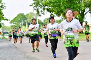 BIB: 
                            <button type="button" onclick="openModal(3720232)" class="btn btn-primary btn-sm float-right btn-popup" data-toggle="modal" data-target=".modal-high-quality">
                        <i class="fas fa-shopping-cart"></i> Add to Cart
                    </button>
                                            <button type="button" onclick="isThisMe(3720232, true)" class="btn btn-success btn-sm float-right btn-popup btn-isme hidden" data-toggle="tooltip" data-placement="bottom" title="นี่คือรูปของคุณใช่ไหม คลิกที่นี่เพื่อเอาเข้าอัลบั้ม">
                        <i class="fas fa-plus"></i> Add to album
                    </button>
                    <button type="button" onclick="isThisMe(3720232, false)" class="btn btn-warning btn-sm float-right btn-popup btn-isnotme hidden">
                        <i class="fas fa-ban"></i> Remove from album
                    </button>