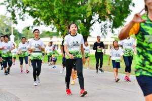 BIB: 
                            <button type="button" onclick="openModal(3719904)" class="btn btn-primary btn-sm float-right btn-popup" data-toggle="modal" data-target=".modal-high-quality">
                        <i class="fas fa-shopping-cart"></i> Add to Cart
                    </button>
                                            <button type="button" onclick="isThisMe(3719904, true)" class="btn btn-success btn-sm float-right btn-popup btn-isme hidden" data-toggle="tooltip" data-placement="bottom" title="นี่คือรูปของคุณใช่ไหม คลิกที่นี่เพื่อเอาเข้าอัลบั้ม">
                        <i class="fas fa-plus"></i> Add to album
                    </button>
                    <button type="button" onclick="isThisMe(3719904, false)" class="btn btn-warning btn-sm float-right btn-popup btn-isnotme hidden">
                        <i class="fas fa-ban"></i> Remove from album
                    </button>