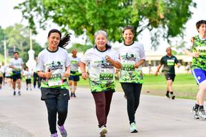 BIB: 
                            <button type="button" onclick="openModal(3721431)" class="btn btn-primary btn-sm float-right btn-popup" data-toggle="modal" data-target=".modal-high-quality">
                        <i class="fas fa-shopping-cart"></i> Add to Cart
                    </button>
                                            <button type="button" onclick="isThisMe(3721431, true)" class="btn btn-success btn-sm float-right btn-popup btn-isme hidden" data-toggle="tooltip" data-placement="bottom" title="นี่คือรูปของคุณใช่ไหม คลิกที่นี่เพื่อเอาเข้าอัลบั้ม">
                        <i class="fas fa-plus"></i> Add to album
                    </button>
                    <button type="button" onclick="isThisMe(3721431, false)" class="btn btn-warning btn-sm float-right btn-popup btn-isnotme hidden">
                        <i class="fas fa-ban"></i> Remove from album
                    </button>