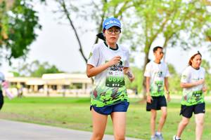 BIB: 
                            <button type="button" onclick="openModal(3720443)" class="btn btn-primary btn-sm float-right btn-popup" data-toggle="modal" data-target=".modal-high-quality">
                        <i class="fas fa-shopping-cart"></i> Add to Cart
                    </button>
                                            <button type="button" onclick="isThisMe(3720443, true)" class="btn btn-success btn-sm float-right btn-popup btn-isme hidden" data-toggle="tooltip" data-placement="bottom" title="นี่คือรูปของคุณใช่ไหม คลิกที่นี่เพื่อเอาเข้าอัลบั้ม">
                        <i class="fas fa-plus"></i> Add to album
                    </button>
                    <button type="button" onclick="isThisMe(3720443, false)" class="btn btn-warning btn-sm float-right btn-popup btn-isnotme hidden">
                        <i class="fas fa-ban"></i> Remove from album
                    </button>