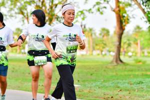 BIB: 
                            <button type="button" onclick="openModal(3718953)" class="btn btn-primary btn-sm float-right btn-popup" data-toggle="modal" data-target=".modal-high-quality">
                        <i class="fas fa-shopping-cart"></i> Add to Cart
                    </button>
                                            <button type="button" onclick="isThisMe(3718953, true)" class="btn btn-success btn-sm float-right btn-popup btn-isme hidden" data-toggle="tooltip" data-placement="bottom" title="นี่คือรูปของคุณใช่ไหม คลิกที่นี่เพื่อเอาเข้าอัลบั้ม">
                        <i class="fas fa-plus"></i> Add to album
                    </button>
                    <button type="button" onclick="isThisMe(3718953, false)" class="btn btn-warning btn-sm float-right btn-popup btn-isnotme hidden">
                        <i class="fas fa-ban"></i> Remove from album
                    </button>