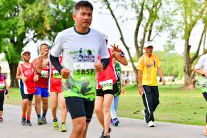 BIB: 
                            <button type="button" onclick="openModal(3720550)" class="btn btn-primary btn-sm float-right btn-popup" data-toggle="modal" data-target=".modal-high-quality">
                        <i class="fas fa-shopping-cart"></i> Add to Cart
                    </button>
                                            <button type="button" onclick="isThisMe(3720550, true)" class="btn btn-success btn-sm float-right btn-popup btn-isme hidden" data-toggle="tooltip" data-placement="bottom" title="นี่คือรูปของคุณใช่ไหม คลิกที่นี่เพื่อเอาเข้าอัลบั้ม">
                        <i class="fas fa-plus"></i> Add to album
                    </button>
                    <button type="button" onclick="isThisMe(3720550, false)" class="btn btn-warning btn-sm float-right btn-popup btn-isnotme hidden">
                        <i class="fas fa-ban"></i> Remove from album
                    </button>