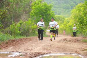 BIB: 
                            <button type="button" onclick="openModal(3560202)" class="btn btn-primary btn-sm float-right btn-popup" data-toggle="modal" data-target=".modal-high-quality">
                        <i class="fas fa-shopping-cart"></i> Add to Cart
                    </button>
                                            <button type="button" onclick="isThisMe(3560202, true)" class="btn btn-success btn-sm float-right btn-popup btn-isme hidden" data-toggle="tooltip" data-placement="bottom" title="นี่คือรูปของคุณใช่ไหม คลิกที่นี่เพื่อเอาเข้าอัลบั้ม">
                        <i class="fas fa-plus"></i> Add to album
                    </button>
                    <button type="button" onclick="isThisMe(3560202, false)" class="btn btn-warning btn-sm float-right btn-popup btn-isnotme hidden">
                        <i class="fas fa-ban"></i> Remove from album
                    </button>