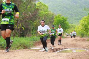 BIB: 
                            <button type="button" onclick="openModal(3559983)" class="btn btn-primary btn-sm float-right btn-popup" data-toggle="modal" data-target=".modal-high-quality">
                        <i class="fas fa-shopping-cart"></i> Add to Cart
                    </button>
                                            <button type="button" onclick="isThisMe(3559983, true)" class="btn btn-success btn-sm float-right btn-popup btn-isme hidden" data-toggle="tooltip" data-placement="bottom" title="นี่คือรูปของคุณใช่ไหม คลิกที่นี่เพื่อเอาเข้าอัลบั้ม">
                        <i class="fas fa-plus"></i> Add to album
                    </button>
                    <button type="button" onclick="isThisMe(3559983, false)" class="btn btn-warning btn-sm float-right btn-popup btn-isnotme hidden">
                        <i class="fas fa-ban"></i> Remove from album
                    </button>