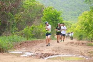 BIB: 
                            <button type="button" onclick="openModal(3560085)" class="btn btn-primary btn-sm float-right btn-popup" data-toggle="modal" data-target=".modal-high-quality">
                        <i class="fas fa-shopping-cart"></i> Add to Cart
                    </button>
                                            <button type="button" onclick="isThisMe(3560085, true)" class="btn btn-success btn-sm float-right btn-popup btn-isme hidden" data-toggle="tooltip" data-placement="bottom" title="นี่คือรูปของคุณใช่ไหม คลิกที่นี่เพื่อเอาเข้าอัลบั้ม">
                        <i class="fas fa-plus"></i> Add to album
                    </button>
                    <button type="button" onclick="isThisMe(3560085, false)" class="btn btn-warning btn-sm float-right btn-popup btn-isnotme hidden">
                        <i class="fas fa-ban"></i> Remove from album
                    </button>