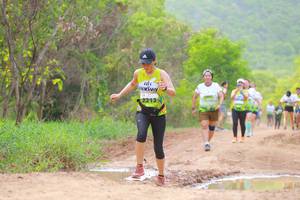 BIB: 2213
                            <button type="button" onclick="openModal(3568879)" class="btn btn-primary btn-sm float-right btn-popup" data-toggle="modal" data-target=".modal-high-quality">
                        <i class="fas fa-shopping-cart"></i> Add to Cart
                    </button>
                                            <button type="button" onclick="isThisMe(3568879, true)" class="btn btn-success btn-sm float-right btn-popup btn-isme hidden" data-toggle="tooltip" data-placement="bottom" title="นี่คือรูปของคุณใช่ไหม คลิกที่นี่เพื่อเอาเข้าอัลบั้ม">
                        <i class="fas fa-plus"></i> Add to album
                    </button>
                    <button type="button" onclick="isThisMe(3568879, false)" class="btn btn-warning btn-sm float-right btn-popup btn-isnotme hidden">
                        <i class="fas fa-ban"></i> Remove from album
                    </button>