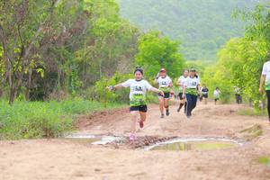 BIB: 
                            <button type="button" onclick="openModal(3568735)" class="btn btn-primary btn-sm float-right btn-popup" data-toggle="modal" data-target=".modal-high-quality">
                        <i class="fas fa-shopping-cart"></i> Add to Cart
                    </button>
                                            <button type="button" onclick="isThisMe(3568735, true)" class="btn btn-success btn-sm float-right btn-popup btn-isme hidden" data-toggle="tooltip" data-placement="bottom" title="นี่คือรูปของคุณใช่ไหม คลิกที่นี่เพื่อเอาเข้าอัลบั้ม">
                        <i class="fas fa-plus"></i> Add to album
                    </button>
                    <button type="button" onclick="isThisMe(3568735, false)" class="btn btn-warning btn-sm float-right btn-popup btn-isnotme hidden">
                        <i class="fas fa-ban"></i> Remove from album
                    </button>