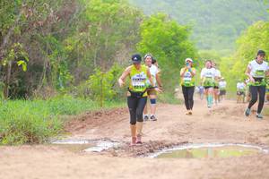 BIB: 2213
                            <button type="button" onclick="openModal(3568868)" class="btn btn-primary btn-sm float-right btn-popup" data-toggle="modal" data-target=".modal-high-quality">
                        <i class="fas fa-shopping-cart"></i> Add to Cart
                    </button>
                                            <button type="button" onclick="isThisMe(3568868, true)" class="btn btn-success btn-sm float-right btn-popup btn-isme hidden" data-toggle="tooltip" data-placement="bottom" title="นี่คือรูปของคุณใช่ไหม คลิกที่นี่เพื่อเอาเข้าอัลบั้ม">
                        <i class="fas fa-plus"></i> Add to album
                    </button>
                    <button type="button" onclick="isThisMe(3568868, false)" class="btn btn-warning btn-sm float-right btn-popup btn-isnotme hidden">
                        <i class="fas fa-ban"></i> Remove from album
                    </button>