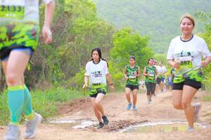 BIB: 2133, 387, 1804
                            <button type="button" onclick="openModal(3568943)" class="btn btn-primary btn-sm float-right btn-popup" data-toggle="modal" data-target=".modal-high-quality">
                        <i class="fas fa-shopping-cart"></i> Add to Cart
                    </button>
                                            <button type="button" onclick="isThisMe(3568943, true)" class="btn btn-success btn-sm float-right btn-popup btn-isme hidden" data-toggle="tooltip" data-placement="bottom" title="นี่คือรูปของคุณใช่ไหม คลิกที่นี่เพื่อเอาเข้าอัลบั้ม">
                        <i class="fas fa-plus"></i> Add to album
                    </button>
                    <button type="button" onclick="isThisMe(3568943, false)" class="btn btn-warning btn-sm float-right btn-popup btn-isnotme hidden">
                        <i class="fas fa-ban"></i> Remove from album
                    </button>