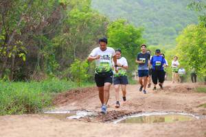 BIB: 
                            <button type="button" onclick="openModal(3568460)" class="btn btn-primary btn-sm float-right btn-popup" data-toggle="modal" data-target=".modal-high-quality">
                        <i class="fas fa-shopping-cart"></i> Add to Cart
                    </button>
                                            <button type="button" onclick="isThisMe(3568460, true)" class="btn btn-success btn-sm float-right btn-popup btn-isme hidden" data-toggle="tooltip" data-placement="bottom" title="นี่คือรูปของคุณใช่ไหม คลิกที่นี่เพื่อเอาเข้าอัลบั้ม">
                        <i class="fas fa-plus"></i> Add to album
                    </button>
                    <button type="button" onclick="isThisMe(3568460, false)" class="btn btn-warning btn-sm float-right btn-popup btn-isnotme hidden">
                        <i class="fas fa-ban"></i> Remove from album
                    </button>