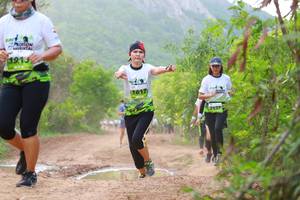 BIB: 
                            <button type="button" onclick="openModal(3569997)" class="btn btn-primary btn-sm float-right btn-popup" data-toggle="modal" data-target=".modal-high-quality">
                        <i class="fas fa-shopping-cart"></i> Add to Cart
                    </button>
                                            <button type="button" onclick="isThisMe(3569997, true)" class="btn btn-success btn-sm float-right btn-popup btn-isme hidden" data-toggle="tooltip" data-placement="bottom" title="นี่คือรูปของคุณใช่ไหม คลิกที่นี่เพื่อเอาเข้าอัลบั้ม">
                        <i class="fas fa-plus"></i> Add to album
                    </button>
                    <button type="button" onclick="isThisMe(3569997, false)" class="btn btn-warning btn-sm float-right btn-popup btn-isnotme hidden">
                        <i class="fas fa-ban"></i> Remove from album
                    </button>