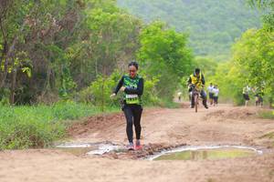 BIB: 
                            <button type="button" onclick="openModal(3569234)" class="btn btn-primary btn-sm float-right btn-popup" data-toggle="modal" data-target=".modal-high-quality">
                        <i class="fas fa-shopping-cart"></i> Add to Cart
                    </button>
                                            <button type="button" onclick="isThisMe(3569234, true)" class="btn btn-success btn-sm float-right btn-popup btn-isme hidden" data-toggle="tooltip" data-placement="bottom" title="นี่คือรูปของคุณใช่ไหม คลิกที่นี่เพื่อเอาเข้าอัลบั้ม">
                        <i class="fas fa-plus"></i> Add to album
                    </button>
                    <button type="button" onclick="isThisMe(3569234, false)" class="btn btn-warning btn-sm float-right btn-popup btn-isnotme hidden">
                        <i class="fas fa-ban"></i> Remove from album
                    </button>