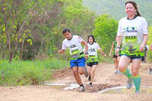 BIB: 2133, 18041
                            <button type="button" onclick="openModal(3568942)" class="btn btn-primary btn-sm float-right btn-popup" data-toggle="modal" data-target=".modal-high-quality">
                        <i class="fas fa-shopping-cart"></i> Add to Cart
                    </button>
                                            <button type="button" onclick="isThisMe(3568942, true)" class="btn btn-success btn-sm float-right btn-popup btn-isme hidden" data-toggle="tooltip" data-placement="bottom" title="นี่คือรูปของคุณใช่ไหม คลิกที่นี่เพื่อเอาเข้าอัลบั้ม">
                        <i class="fas fa-plus"></i> Add to album
                    </button>
                    <button type="button" onclick="isThisMe(3568942, false)" class="btn btn-warning btn-sm float-right btn-popup btn-isnotme hidden">
                        <i class="fas fa-ban"></i> Remove from album
                    </button>