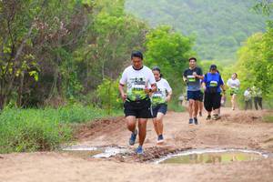 BIB: 
                            <button type="button" onclick="openModal(3568468)" class="btn btn-primary btn-sm float-right btn-popup" data-toggle="modal" data-target=".modal-high-quality">
                        <i class="fas fa-shopping-cart"></i> Add to Cart
                    </button>
                                            <button type="button" onclick="isThisMe(3568468, true)" class="btn btn-success btn-sm float-right btn-popup btn-isme hidden" data-toggle="tooltip" data-placement="bottom" title="นี่คือรูปของคุณใช่ไหม คลิกที่นี่เพื่อเอาเข้าอัลบั้ม">
                        <i class="fas fa-plus"></i> Add to album
                    </button>
                    <button type="button" onclick="isThisMe(3568468, false)" class="btn btn-warning btn-sm float-right btn-popup btn-isnotme hidden">
                        <i class="fas fa-ban"></i> Remove from album
                    </button>