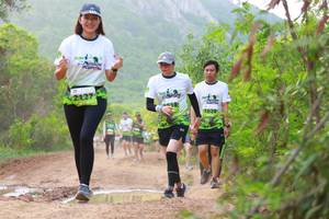 BIB: 2127
                            <button type="button" onclick="openModal(3570005)" class="btn btn-primary btn-sm float-right btn-popup" data-toggle="modal" data-target=".modal-high-quality">
                        <i class="fas fa-shopping-cart"></i> Add to Cart
                    </button>
                                            <button type="button" onclick="isThisMe(3570005, true)" class="btn btn-success btn-sm float-right btn-popup btn-isme hidden" data-toggle="tooltip" data-placement="bottom" title="นี่คือรูปของคุณใช่ไหม คลิกที่นี่เพื่อเอาเข้าอัลบั้ม">
                        <i class="fas fa-plus"></i> Add to album
                    </button>
                    <button type="button" onclick="isThisMe(3570005, false)" class="btn btn-warning btn-sm float-right btn-popup btn-isnotme hidden">
                        <i class="fas fa-ban"></i> Remove from album
                    </button>