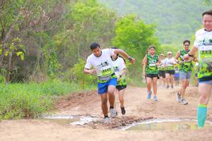 BIB: 
                            <button type="button" onclick="openModal(3568941)" class="btn btn-primary btn-sm float-right btn-popup" data-toggle="modal" data-target=".modal-high-quality">
                        <i class="fas fa-shopping-cart"></i> Add to Cart
                    </button>
                                            <button type="button" onclick="isThisMe(3568941, true)" class="btn btn-success btn-sm float-right btn-popup btn-isme hidden" data-toggle="tooltip" data-placement="bottom" title="นี่คือรูปของคุณใช่ไหม คลิกที่นี่เพื่อเอาเข้าอัลบั้ม">
                        <i class="fas fa-plus"></i> Add to album
                    </button>
                    <button type="button" onclick="isThisMe(3568941, false)" class="btn btn-warning btn-sm float-right btn-popup btn-isnotme hidden">
                        <i class="fas fa-ban"></i> Remove from album
                    </button>