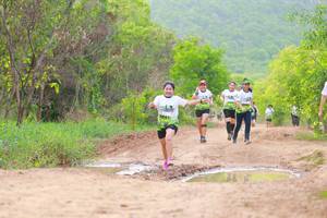 BIB: 
                            <button type="button" onclick="openModal(3568732)" class="btn btn-primary btn-sm float-right btn-popup" data-toggle="modal" data-target=".modal-high-quality">
                        <i class="fas fa-shopping-cart"></i> Add to Cart
                    </button>
                                            <button type="button" onclick="isThisMe(3568732, true)" class="btn btn-success btn-sm float-right btn-popup btn-isme hidden" data-toggle="tooltip" data-placement="bottom" title="นี่คือรูปของคุณใช่ไหม คลิกที่นี่เพื่อเอาเข้าอัลบั้ม">
                        <i class="fas fa-plus"></i> Add to album
                    </button>
                    <button type="button" onclick="isThisMe(3568732, false)" class="btn btn-warning btn-sm float-right btn-popup btn-isnotme hidden">
                        <i class="fas fa-ban"></i> Remove from album
                    </button>