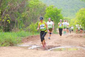 BIB: 2213
                            <button type="button" onclick="openModal(3568872)" class="btn btn-primary btn-sm float-right btn-popup" data-toggle="modal" data-target=".modal-high-quality">
                        <i class="fas fa-shopping-cart"></i> Add to Cart
                    </button>
                                            <button type="button" onclick="isThisMe(3568872, true)" class="btn btn-success btn-sm float-right btn-popup btn-isme hidden" data-toggle="tooltip" data-placement="bottom" title="นี่คือรูปของคุณใช่ไหม คลิกที่นี่เพื่อเอาเข้าอัลบั้ม">
                        <i class="fas fa-plus"></i> Add to album
                    </button>
                    <button type="button" onclick="isThisMe(3568872, false)" class="btn btn-warning btn-sm float-right btn-popup btn-isnotme hidden">
                        <i class="fas fa-ban"></i> Remove from album
                    </button>