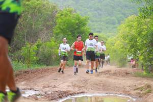 BIB: 
                            <button type="button" onclick="openModal(3570197)" class="btn btn-primary btn-sm float-right btn-popup" data-toggle="modal" data-target=".modal-high-quality">
                        <i class="fas fa-shopping-cart"></i> Add to Cart
                    </button>
                                            <button type="button" onclick="isThisMe(3570197, true)" class="btn btn-success btn-sm float-right btn-popup btn-isme hidden" data-toggle="tooltip" data-placement="bottom" title="นี่คือรูปของคุณใช่ไหม คลิกที่นี่เพื่อเอาเข้าอัลบั้ม">
                        <i class="fas fa-plus"></i> Add to album
                    </button>
                    <button type="button" onclick="isThisMe(3570197, false)" class="btn btn-warning btn-sm float-right btn-popup btn-isnotme hidden">
                        <i class="fas fa-ban"></i> Remove from album
                    </button>