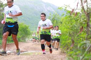 BIB: 2433
                            <button type="button" onclick="openModal(3578283)" class="btn btn-primary btn-sm float-right btn-popup" data-toggle="modal" data-target=".modal-high-quality">
                        <i class="fas fa-shopping-cart"></i> Add to Cart
                    </button>
                                            <button type="button" onclick="isThisMe(3578283, true)" class="btn btn-success btn-sm float-right btn-popup btn-isme hidden" data-toggle="tooltip" data-placement="bottom" title="นี่คือรูปของคุณใช่ไหม คลิกที่นี่เพื่อเอาเข้าอัลบั้ม">
                        <i class="fas fa-plus"></i> Add to album
                    </button>
                    <button type="button" onclick="isThisMe(3578283, false)" class="btn btn-warning btn-sm float-right btn-popup btn-isnotme hidden">
                        <i class="fas fa-ban"></i> Remove from album
                    </button>