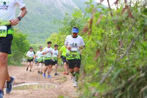 BIB: 
                            <button type="button" onclick="openModal(3578776)" class="btn btn-primary btn-sm float-right btn-popup" data-toggle="modal" data-target=".modal-high-quality">
                        <i class="fas fa-shopping-cart"></i> Add to Cart
                    </button>
                                            <button type="button" onclick="isThisMe(3578776, true)" class="btn btn-success btn-sm float-right btn-popup btn-isme hidden" data-toggle="tooltip" data-placement="bottom" title="นี่คือรูปของคุณใช่ไหม คลิกที่นี่เพื่อเอาเข้าอัลบั้ม">
                        <i class="fas fa-plus"></i> Add to album
                    </button>
                    <button type="button" onclick="isThisMe(3578776, false)" class="btn btn-warning btn-sm float-right btn-popup btn-isnotme hidden">
                        <i class="fas fa-ban"></i> Remove from album
                    </button>