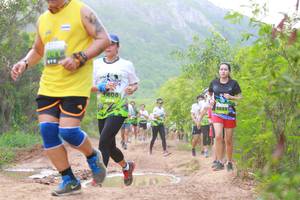 BIB: 2532
                            <button type="button" onclick="openModal(3582895)" class="btn btn-primary btn-sm float-right btn-popup" data-toggle="modal" data-target=".modal-high-quality">
                        <i class="fas fa-shopping-cart"></i> Add to Cart
                    </button>
                                            <button type="button" onclick="isThisMe(3582895, true)" class="btn btn-success btn-sm float-right btn-popup btn-isme hidden" data-toggle="tooltip" data-placement="bottom" title="นี่คือรูปของคุณใช่ไหม คลิกที่นี่เพื่อเอาเข้าอัลบั้ม">
                        <i class="fas fa-plus"></i> Add to album
                    </button>
                    <button type="button" onclick="isThisMe(3582895, false)" class="btn btn-warning btn-sm float-right btn-popup btn-isnotme hidden">
                        <i class="fas fa-ban"></i> Remove from album
                    </button>