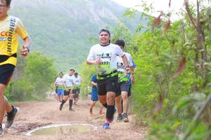 BIB: 
                            <button type="button" onclick="openModal(3582518)" class="btn btn-primary btn-sm float-right btn-popup" data-toggle="modal" data-target=".modal-high-quality">
                        <i class="fas fa-shopping-cart"></i> Add to Cart
                    </button>
                                            <button type="button" onclick="isThisMe(3582518, true)" class="btn btn-success btn-sm float-right btn-popup btn-isme hidden" data-toggle="tooltip" data-placement="bottom" title="นี่คือรูปของคุณใช่ไหม คลิกที่นี่เพื่อเอาเข้าอัลบั้ม">
                        <i class="fas fa-plus"></i> Add to album
                    </button>
                    <button type="button" onclick="isThisMe(3582518, false)" class="btn btn-warning btn-sm float-right btn-popup btn-isnotme hidden">
                        <i class="fas fa-ban"></i> Remove from album
                    </button>