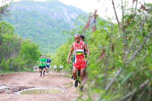 BIB: 
                            <button type="button" onclick="openModal(3595003)" class="btn btn-primary btn-sm float-right btn-popup" data-toggle="modal" data-target=".modal-high-quality">
                        <i class="fas fa-shopping-cart"></i> Add to Cart
                    </button>
                                            <button type="button" onclick="isThisMe(3595003, true)" class="btn btn-success btn-sm float-right btn-popup btn-isme hidden" data-toggle="tooltip" data-placement="bottom" title="นี่คือรูปของคุณใช่ไหม คลิกที่นี่เพื่อเอาเข้าอัลบั้ม">
                        <i class="fas fa-plus"></i> Add to album
                    </button>
                    <button type="button" onclick="isThisMe(3595003, false)" class="btn btn-warning btn-sm float-right btn-popup btn-isnotme hidden">
                        <i class="fas fa-ban"></i> Remove from album
                    </button>